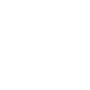 Icon2