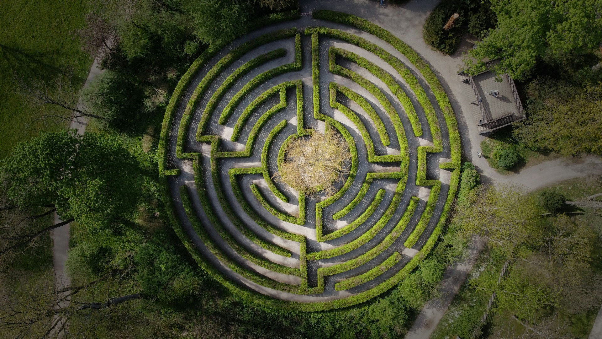 Navigating the Talent Maze: Strategies for Attracting and Retaining Top Developers